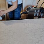 De ce este importantă igienizarea tapiteriei în sezonul cald